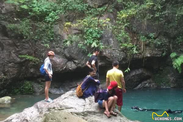 带着狗狗去旅行是怎样一直体验？