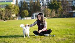 邻居家泰迪犬是红色的，而我家的是灰色的，它到底有几种颜色呢