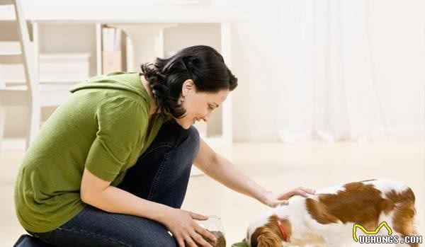 犬护食多半是主人有这些行为！想解决这问题，要耍点“小心机”