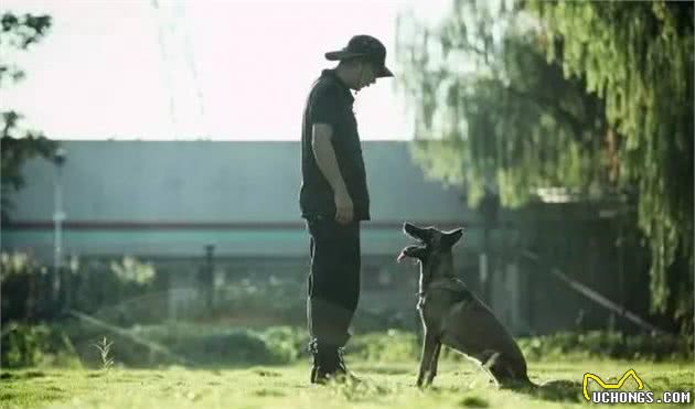 警犬竟是这样炼成的！走进警犬训练基地，了解不同的汪星人！