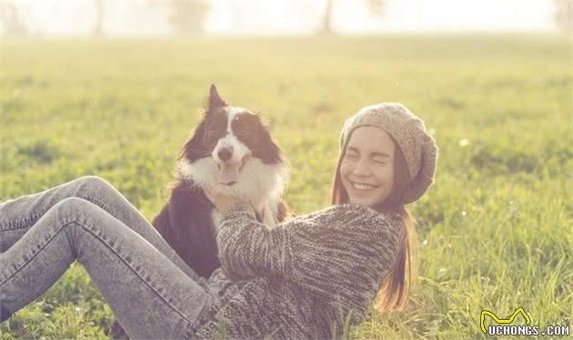 都说边牧犬难养，却不知道养它有这些好处，养了就没后悔过