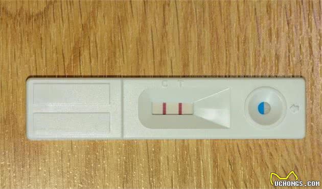 买了快速检测试纸条不会用？兽医教你自己在家给狗狗做检测