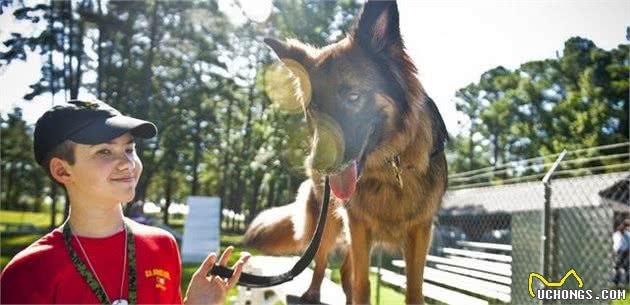 训狗要从小做起，因为训练幼犬和成犬很大不同，不然主人会后悔的