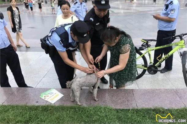 蒲江民警街头发放宠物狗牵引绳，网友点赞：了解和沟通的绳子！