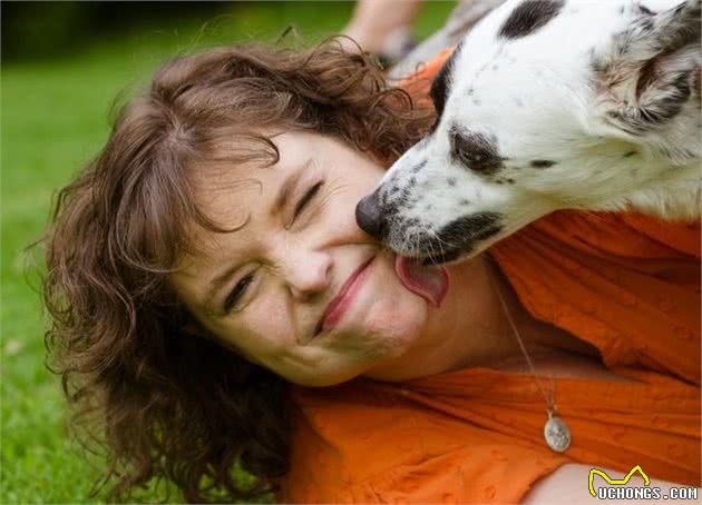 狗狗这些“求救信号”,不是在跟你玩或是独自卖萌