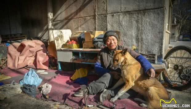 大黄狗每天推瘫痪主人摆摊，中午却独自离开一会！原因让人超感动