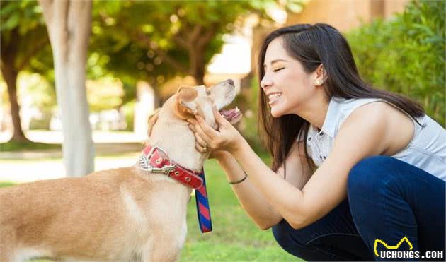 犬疫苗的接种！划重点啦！几分钟带你了解狗狗疫苗的接种