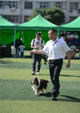 萌宠银川蹦出一群萌萌哒高能狗周末必看别错过