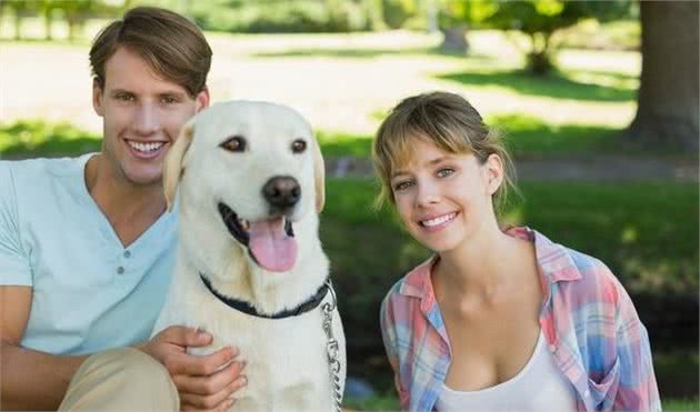 难以忍耐寂寞的犬种，没有主人的陪同就会伤心