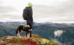 带狗狗去登山，回来惹一身虫子，主人最好就事前豫备好这些！