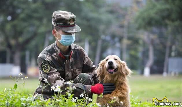 走进军犬训练班丨“无言战友”的日常训练原来是酱紫的