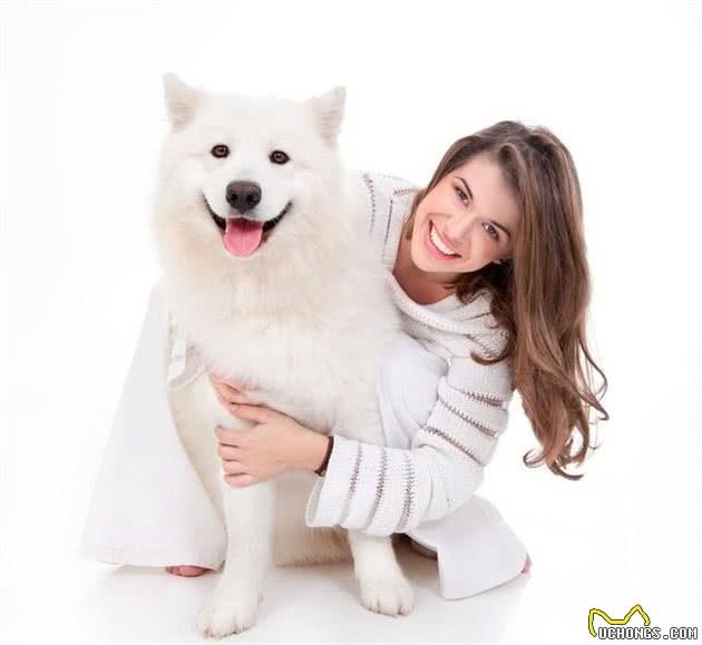 好犬粮的标准是什么？如何选购一款真正的好犬粮？