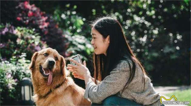 喜欢狗和爱狗有什么不同？看完这些才知道，自己该不应养狗