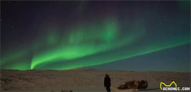 这是世界上最孤独、却最勇敢的雪橇犬！