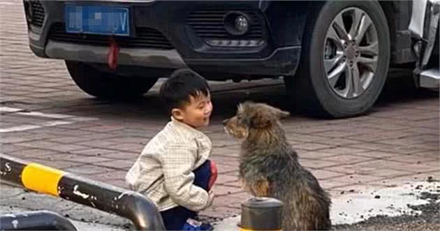 小男孩蹲在路边和流浪狗聊天，画面太治愈了，不禁露出姨母笑