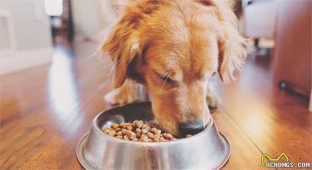 狗以食为天，学会怎么挑选一款优秀的犬粮，是每一个狗主人必备技能