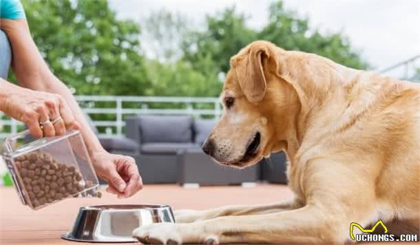 狗以食为天，学会怎么挑选一款优秀的犬粮，是每一个狗主人必备技能