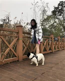 法斗犬健康饮食禁忌