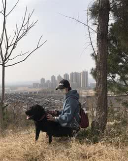 为什么喜欢带狗去登山，因为会让你高兴忘了疲惫