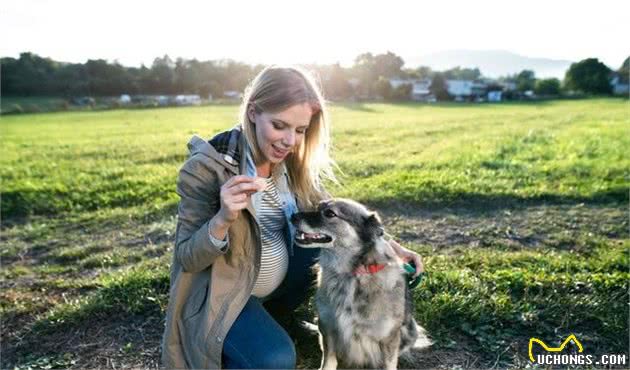 狗狗知道怀孕怎么回事呀吗？主人怀孕了，狗狗会有什么反应？