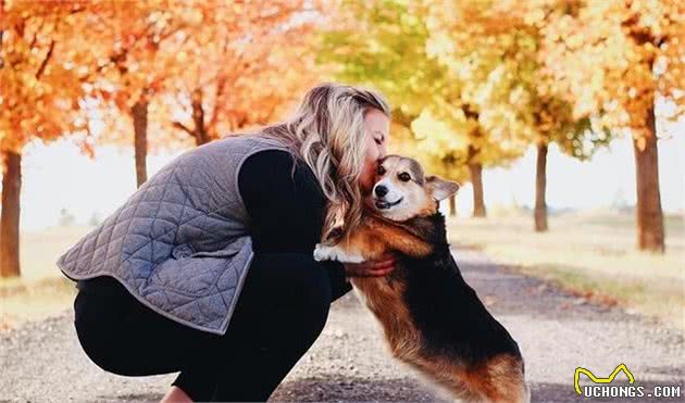 最使训犬师崩溃的5件事，训练狗狗可没有想象那么帅气轻松