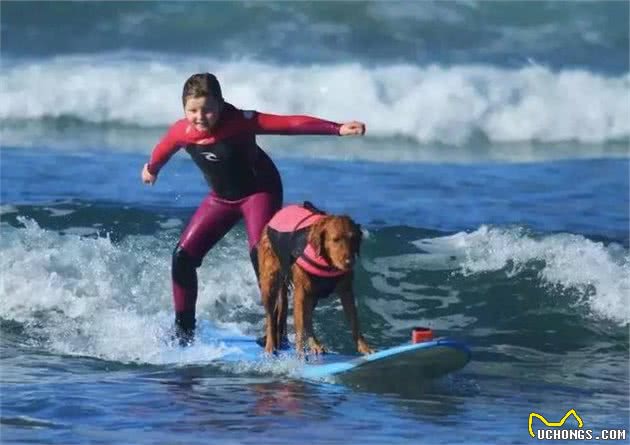 这只狗狗奔放的性格导致它从治疗犬中被除名，但却造福了更多人！