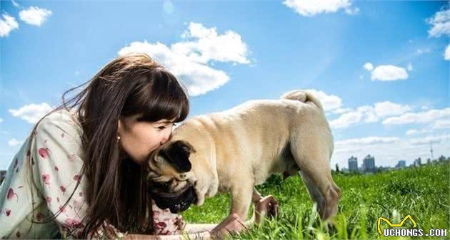 原来养狗的好处那么多,不只能够陪同孩子,还能“治病”