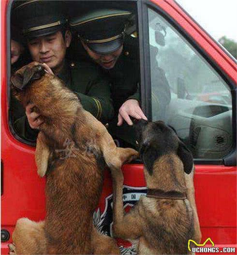 原来养狗的好处那么多,不只能够陪同孩子,还能“治病”