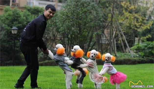 原来养狗的好处那么多,不只能够陪同孩子,还能“治病”