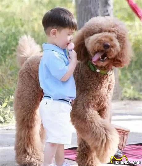 原来养狗的好处那么多,不只能够陪同孩子,还能“治病”