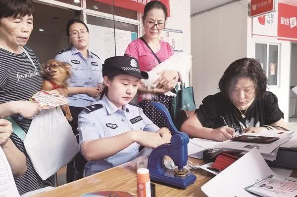 想在洛阳办理养犬登记证？相关事项，赶紧了解一下