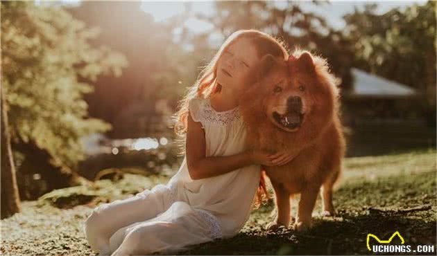 家有爱犬，要学会与狗狗相处好的5个技巧