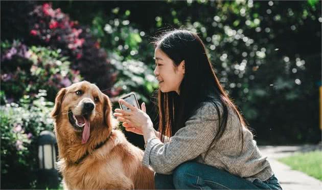 养狗的10大缺陷，能忍耐超过6条以上，你才适合养狗！