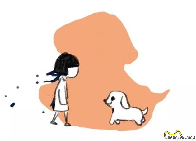 急寻！一只“心理陪同犬”被偷，自闭症孩子们全都哭了…