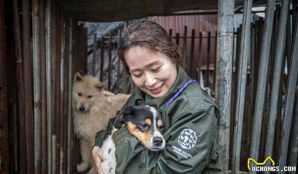 每一年吃掉百万只狗！夏季三伏天变南韩狗难日人道组织手刀救犬