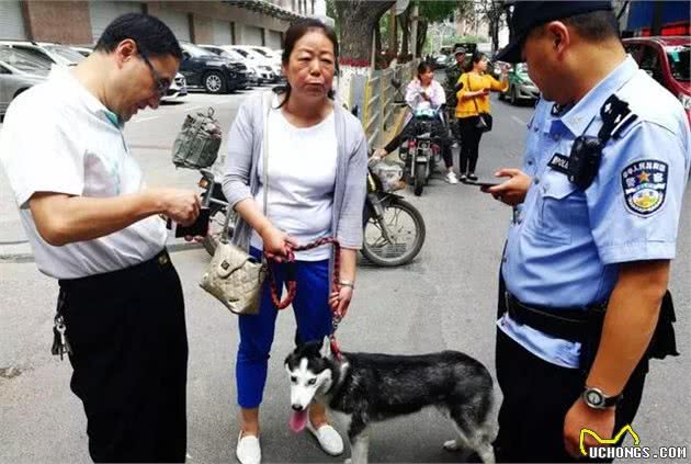 城中区多措并举扎实推动犬虽然理工作