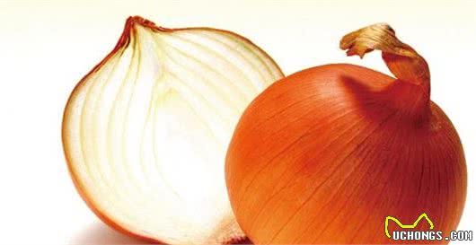 狗狗生病的真凶找到了,这5种食物不要给狗吃,否则后果很严重