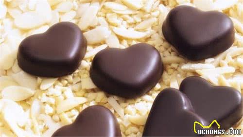 狗狗生病的真凶找到了,这5种食物不要给狗吃,否则后果很严重