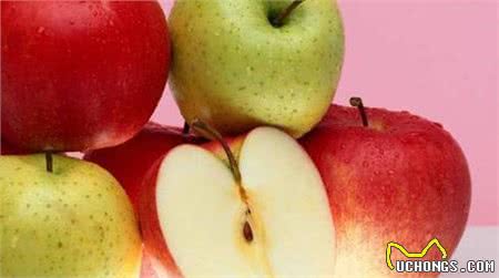 狗狗生病的真凶找到了,这5种食物不要给狗吃,否则后果很严重