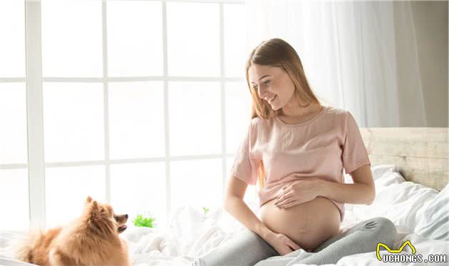 婆媳别再吵架啦，妇产科医生告诉你怀孕期间到底能不能养宠物