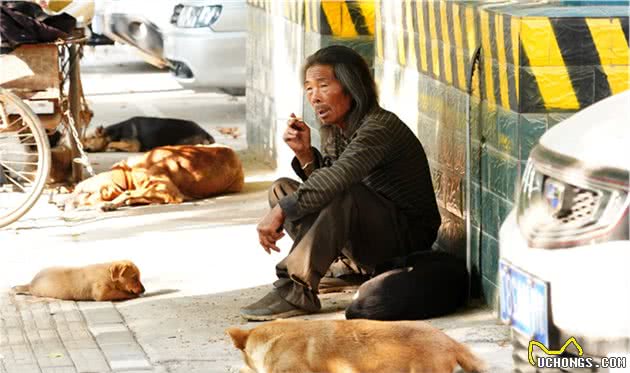 河南大爷一人吃饱全家饱，养20条狗狗做保镖，看活成啥样