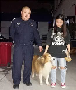 民警用“妙招”帮助走失苏牧犬找到主人