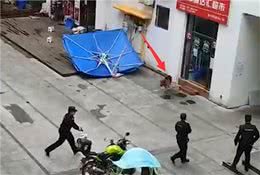 重庆民警当街射击大型犬，目击群众直呼心疼，遛狗不牵绳怪谁？