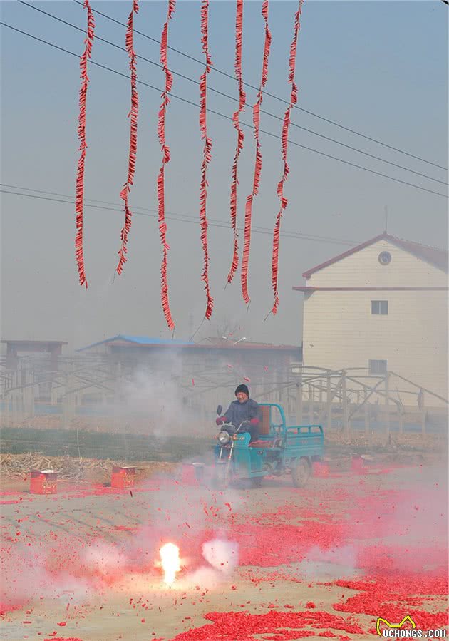 狗狗怕鞭炮打雷怎么办