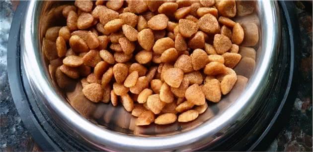 选购狗粮这七点要注意