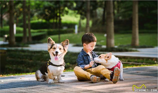该不该让孩子养宠物,宠物陪伴孩子成长,对孩子到底有什么影响?