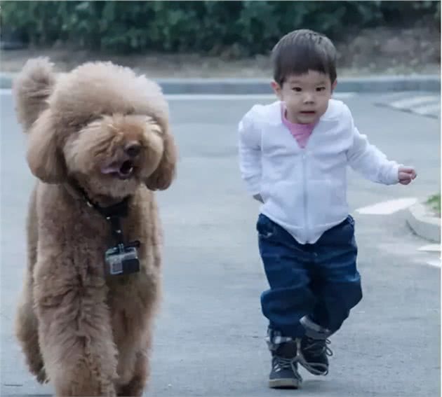 该不该让孩子养宠物,宠物陪伴孩子成长,对孩子到底有什么影响?