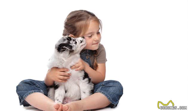 该不该让孩子养宠物,宠物陪伴孩子成长,对孩子到底有什么影响?