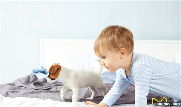 该不该让孩子养宠物,宠物陪伴孩子成长,对孩子到底有什么影响?