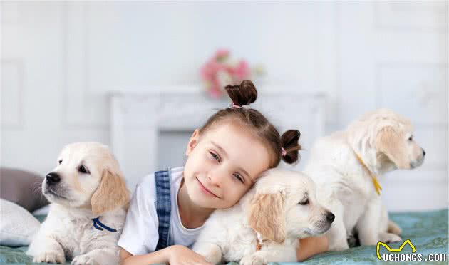 该不该让孩子养宠物,宠物陪伴孩子成长,对孩子到底有什么影响?